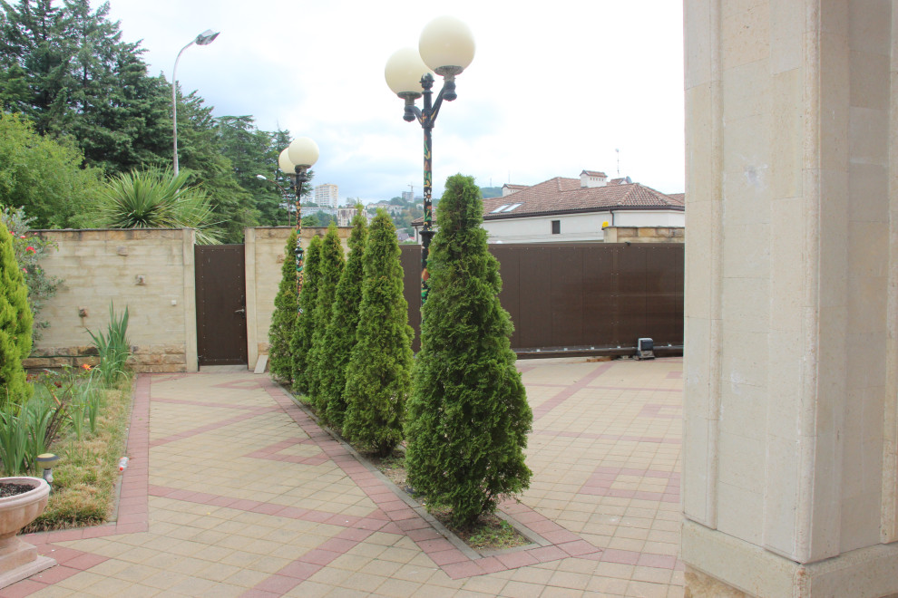 Фабрициуса