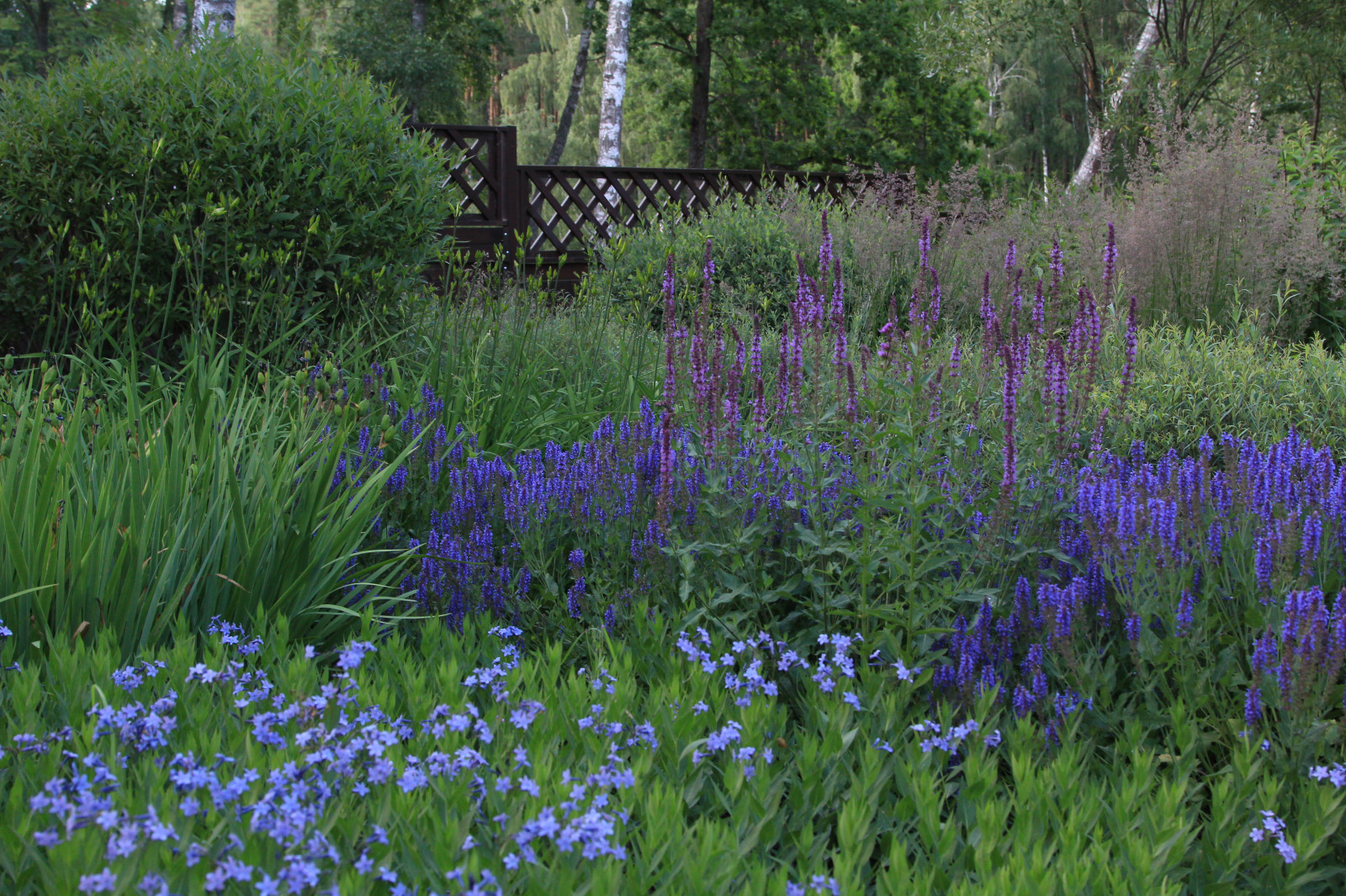 Проект "Волны". Дом у воды