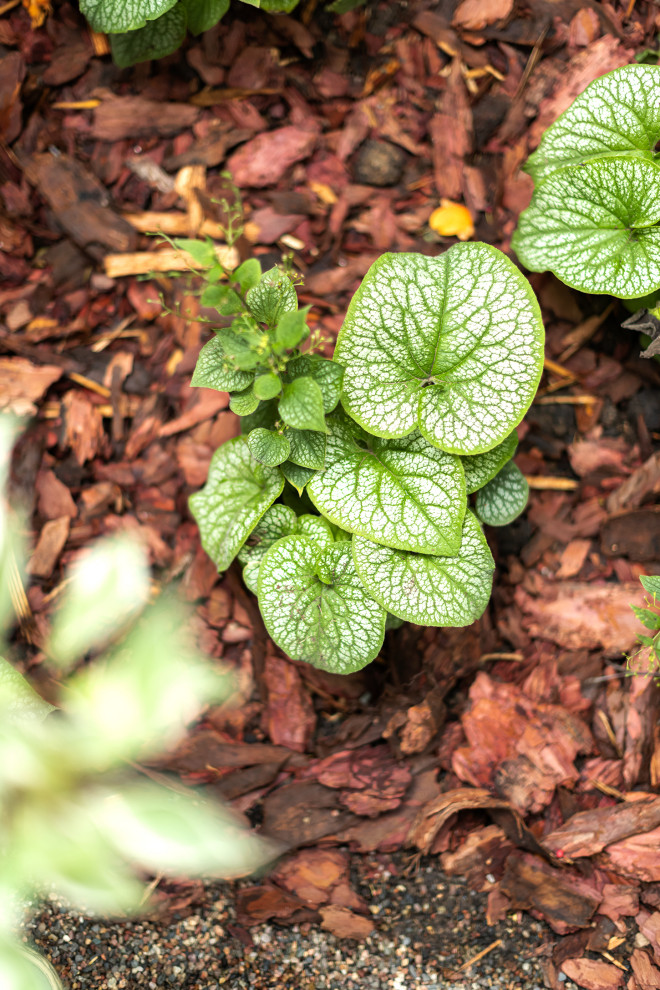 Современный хуторок у Наташи Королевой