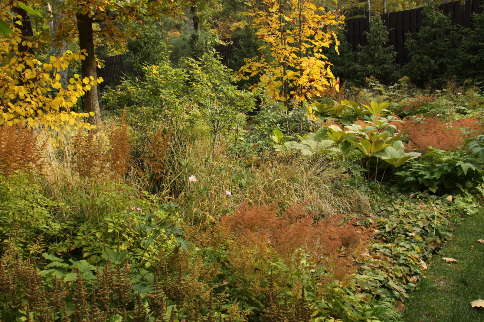 Обложка проекта: "Fairy Garden.Сад под дубами"