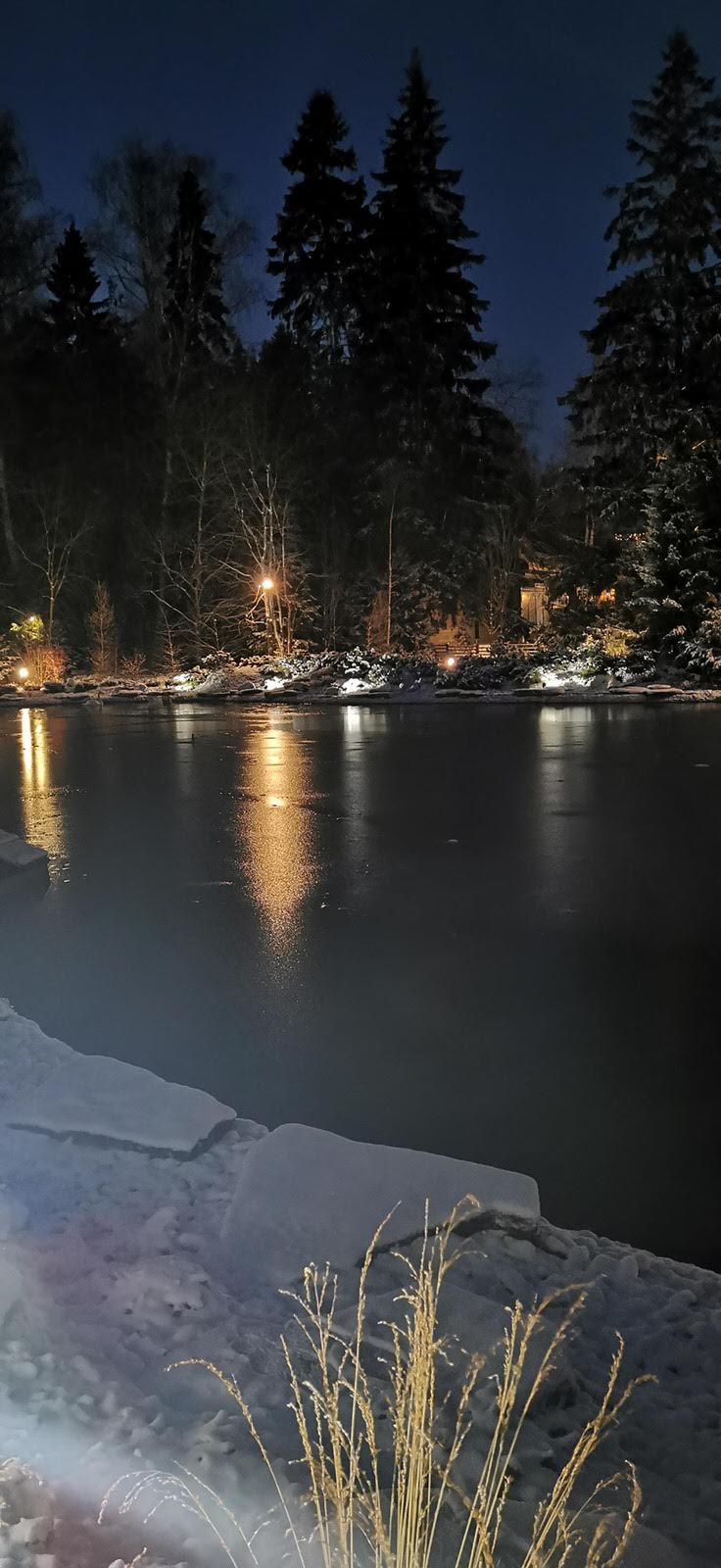 Лесное озеро