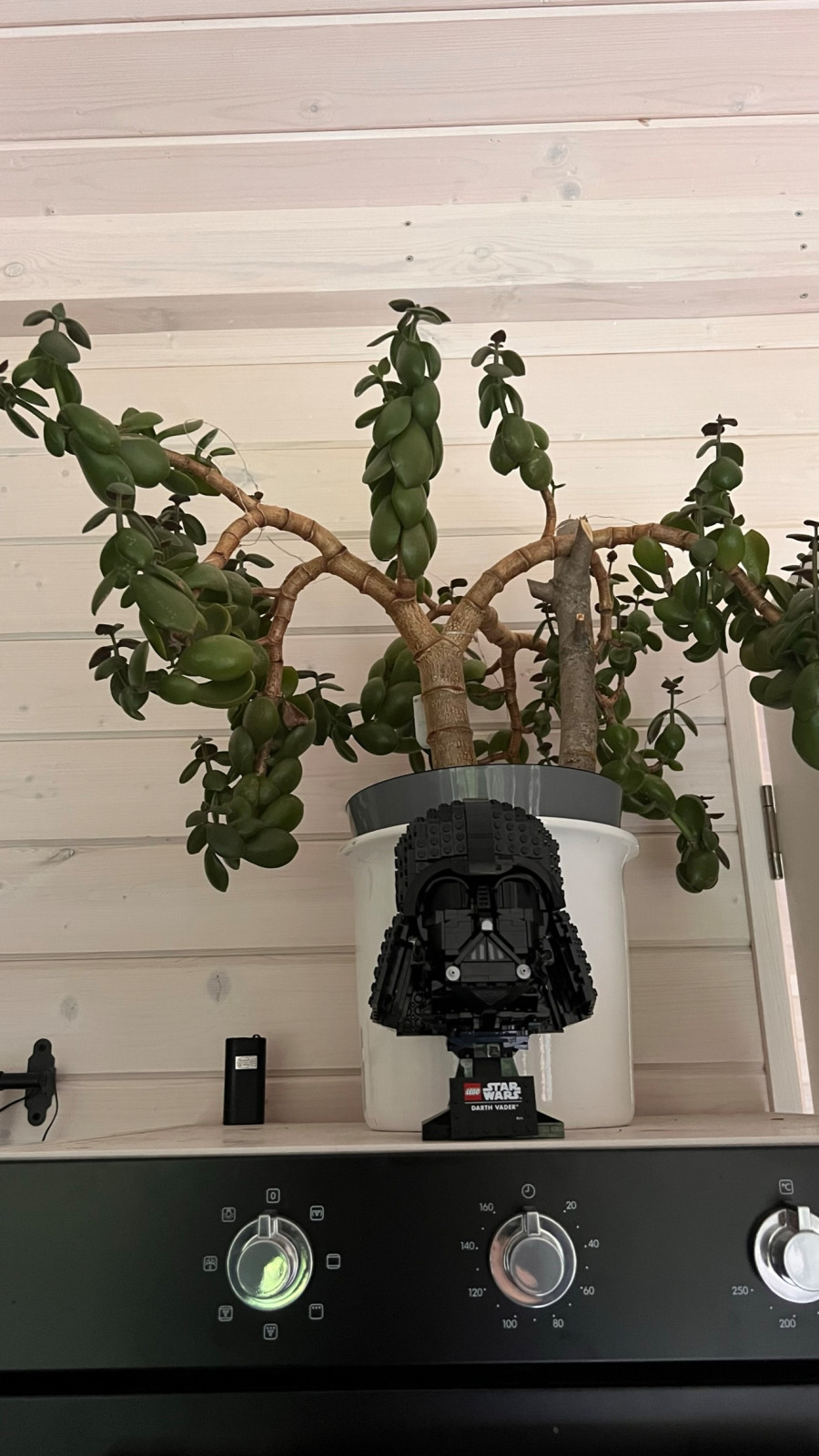 Загородный дом