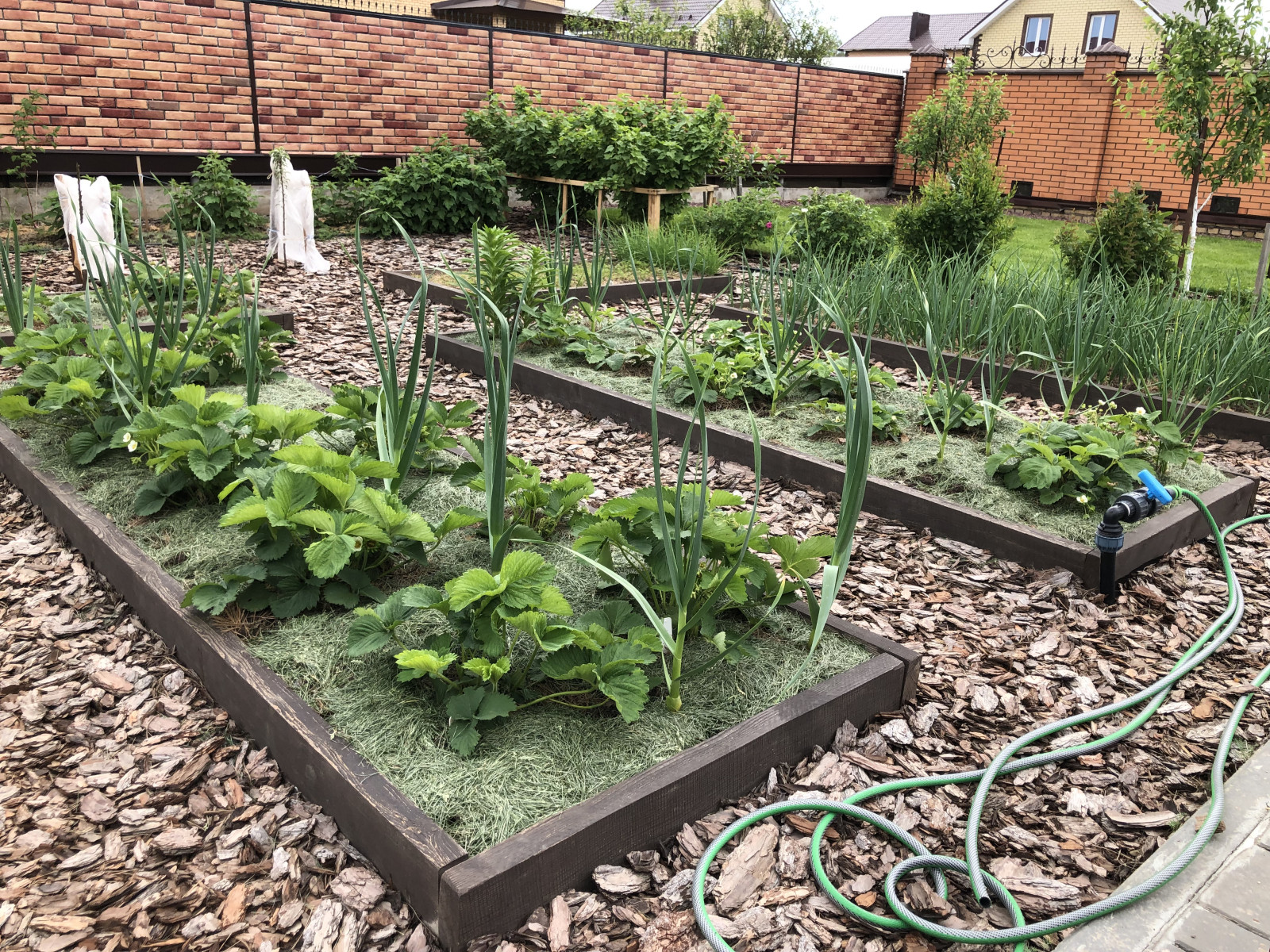 Вознесение