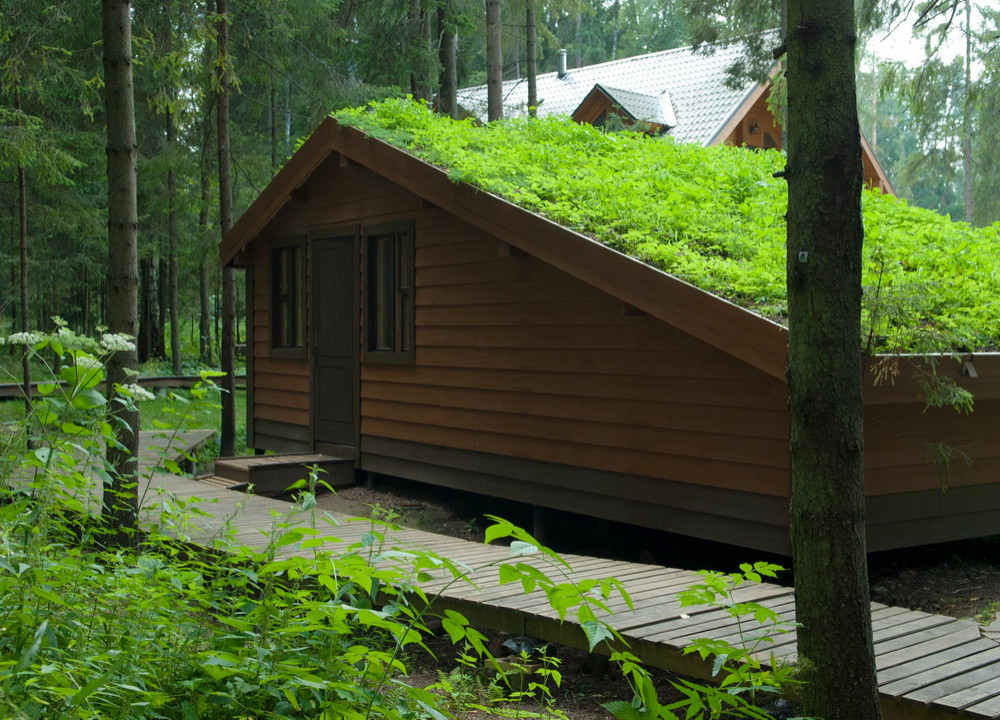 Зеленые кровли. Green roof