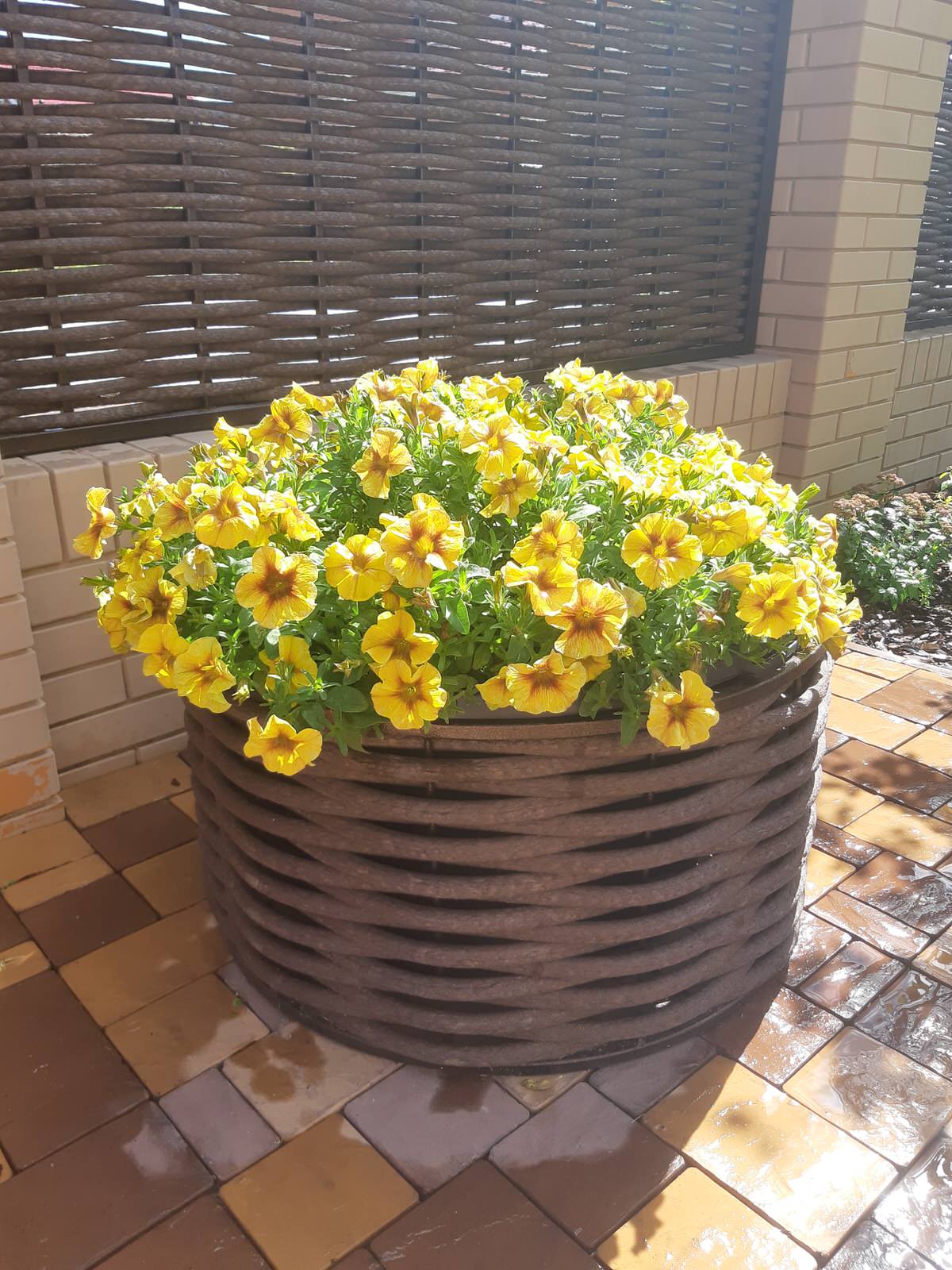 Серебрянный бор - 3