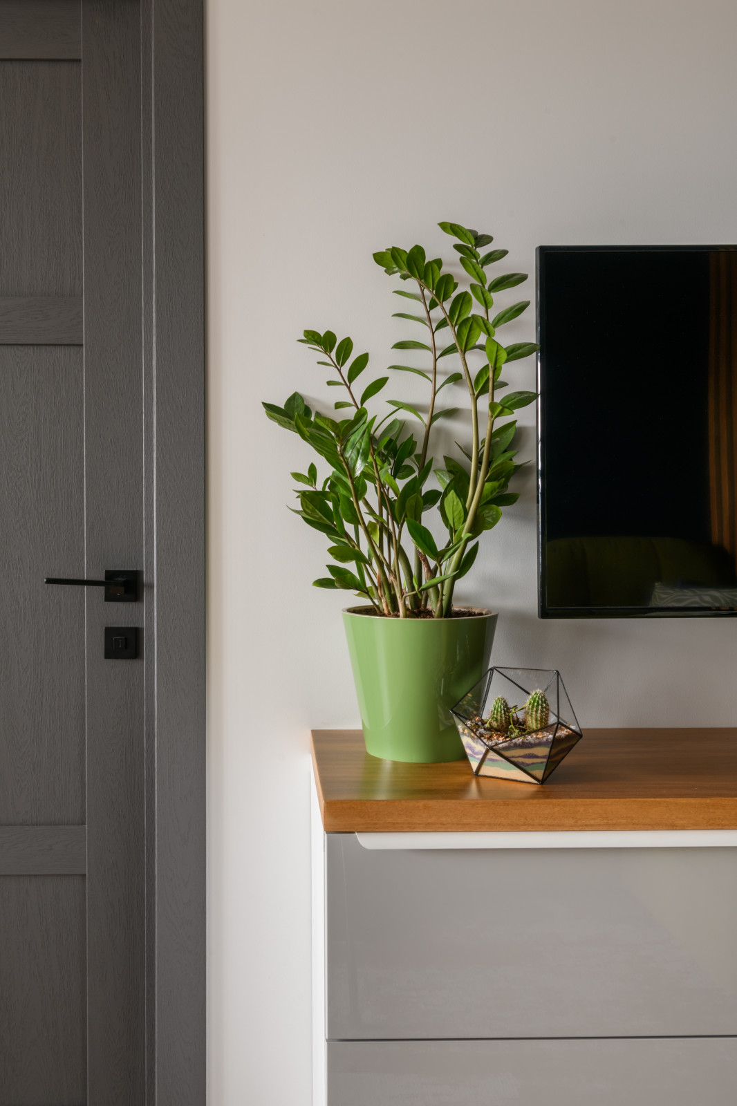 Солнечное настроение