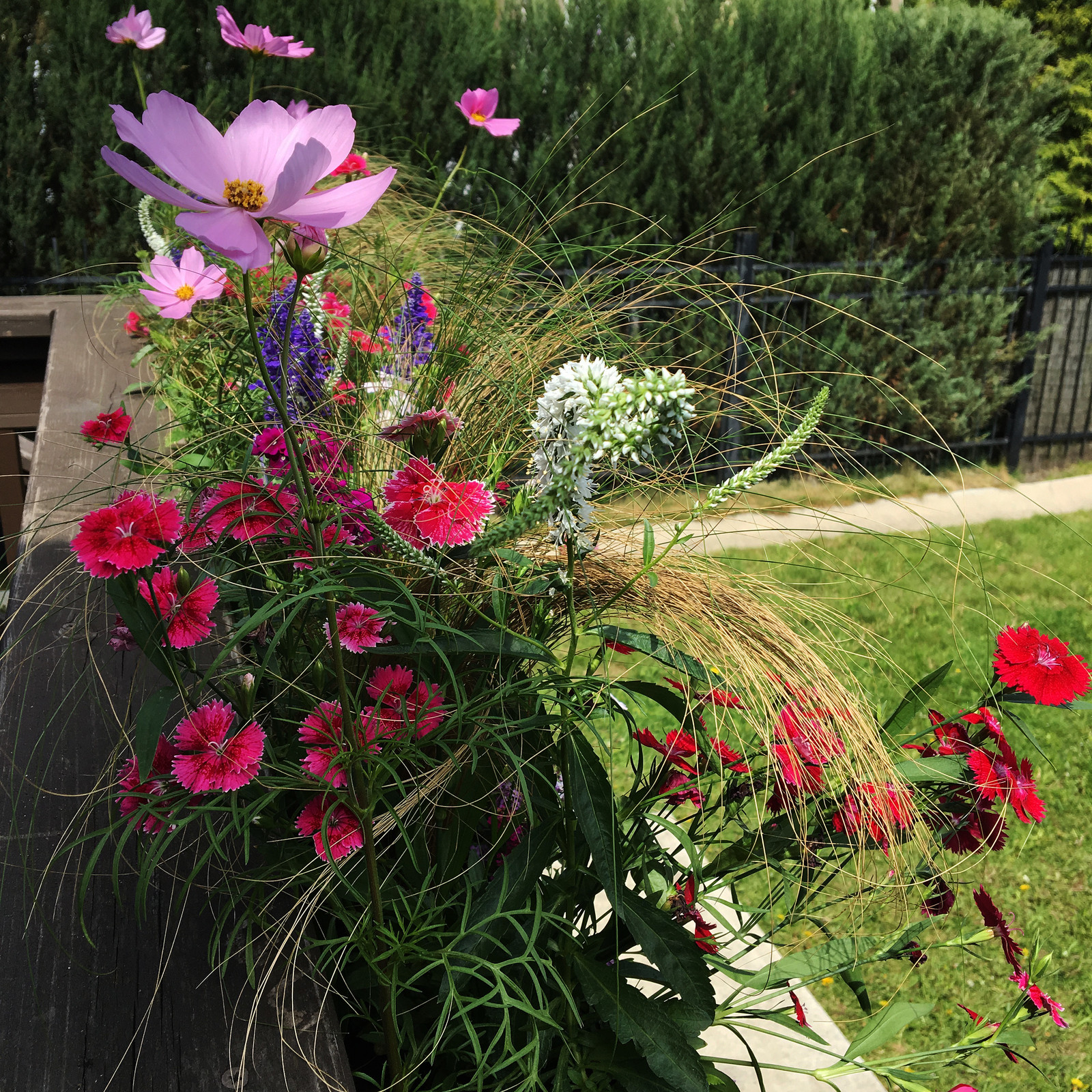 Терраса в Новых Вешках