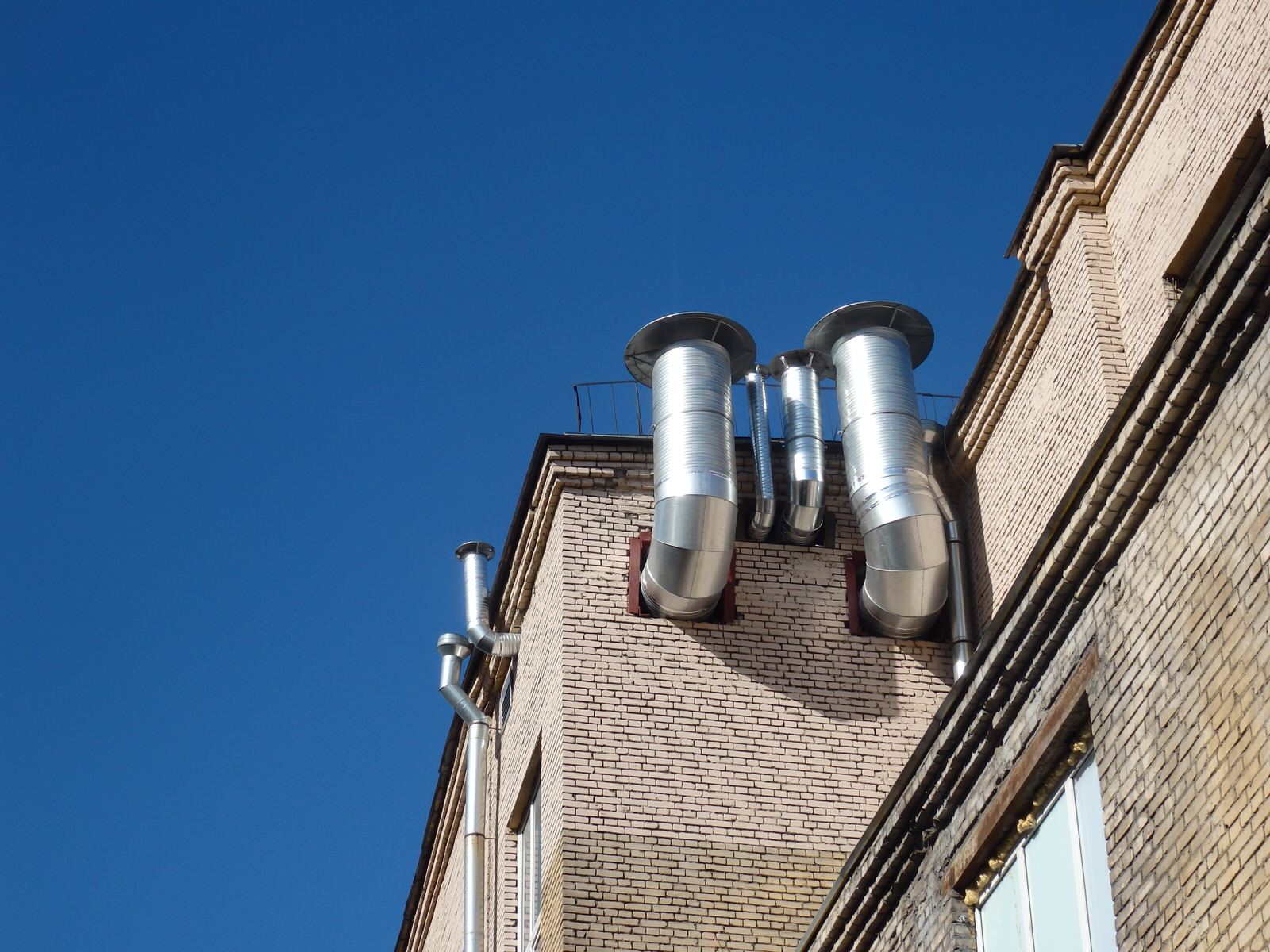 Елена Колевзон