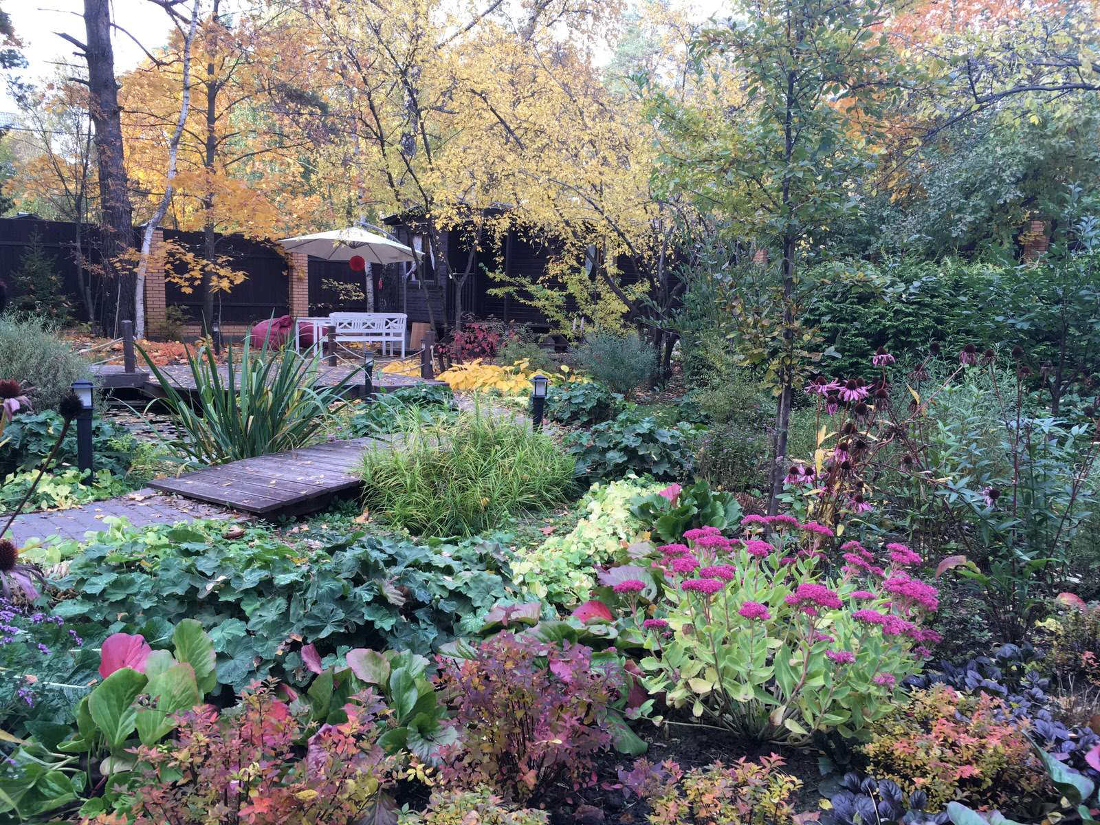 Белкин сад. Осень 2019