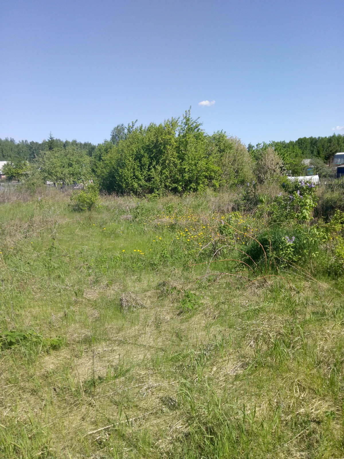 Обложка проекта: Обработка земли