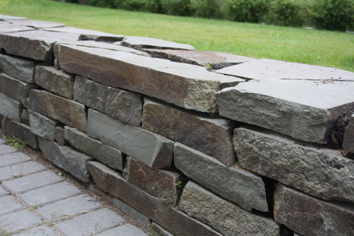 Новое Токсово 1