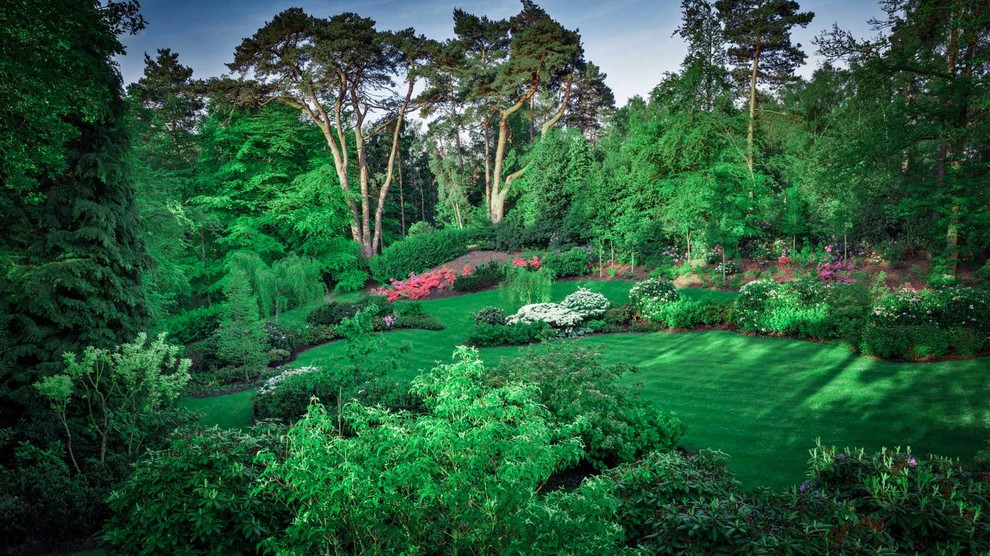 Суррей Времена Года