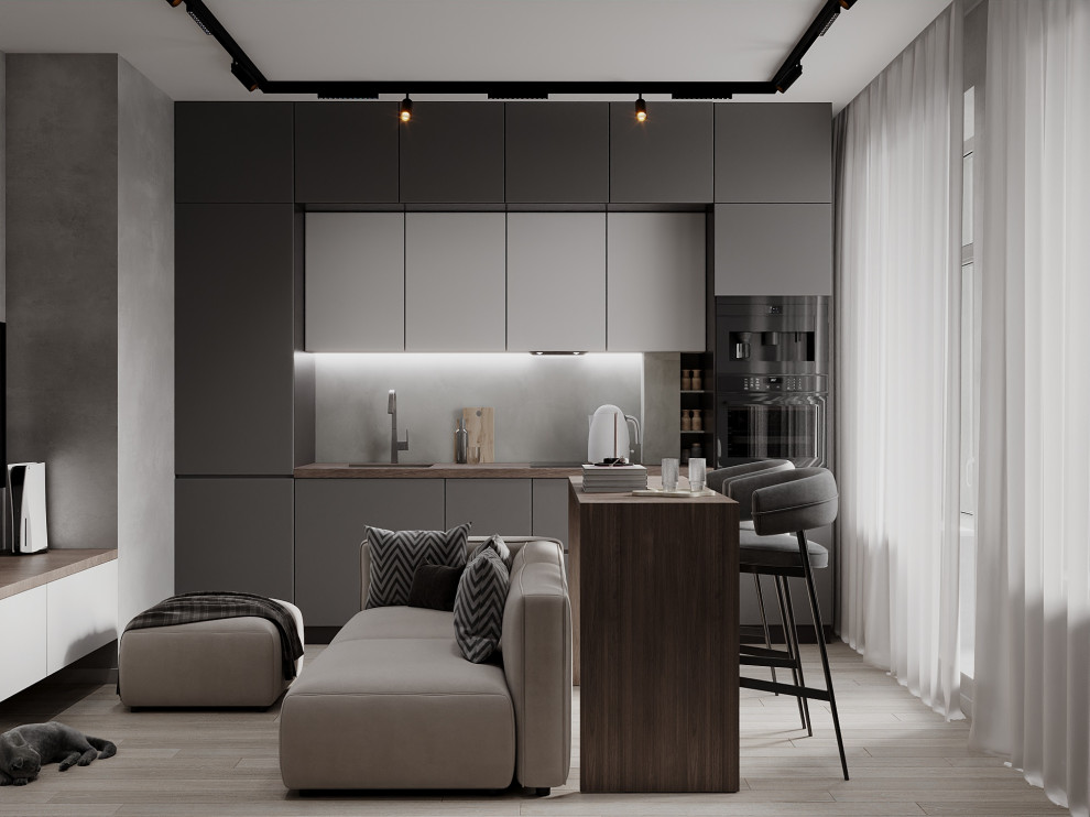 Дизайн-проект однокомнатной квартиры