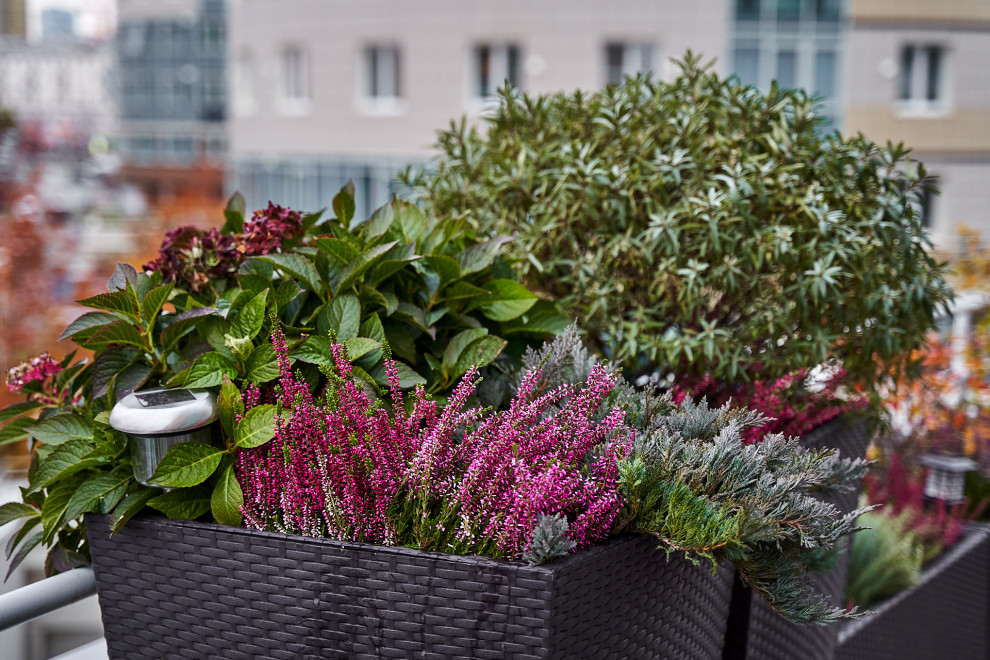 Озеленение террас