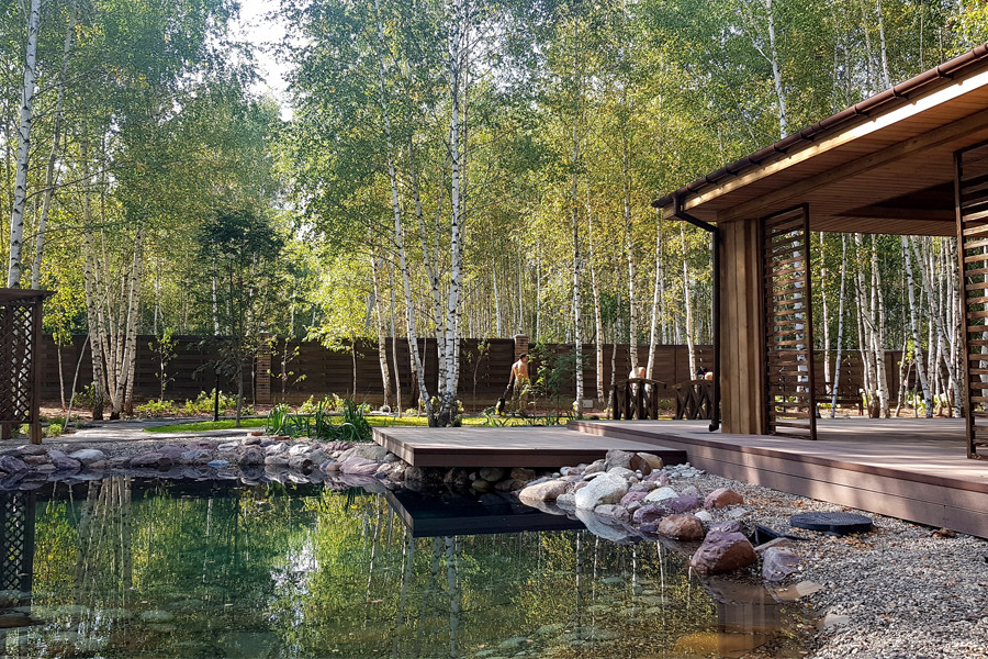 Обложка проекта: Пруд и берёзы