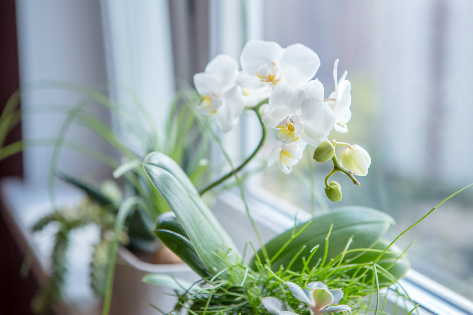 Квартира на Юго-Западе