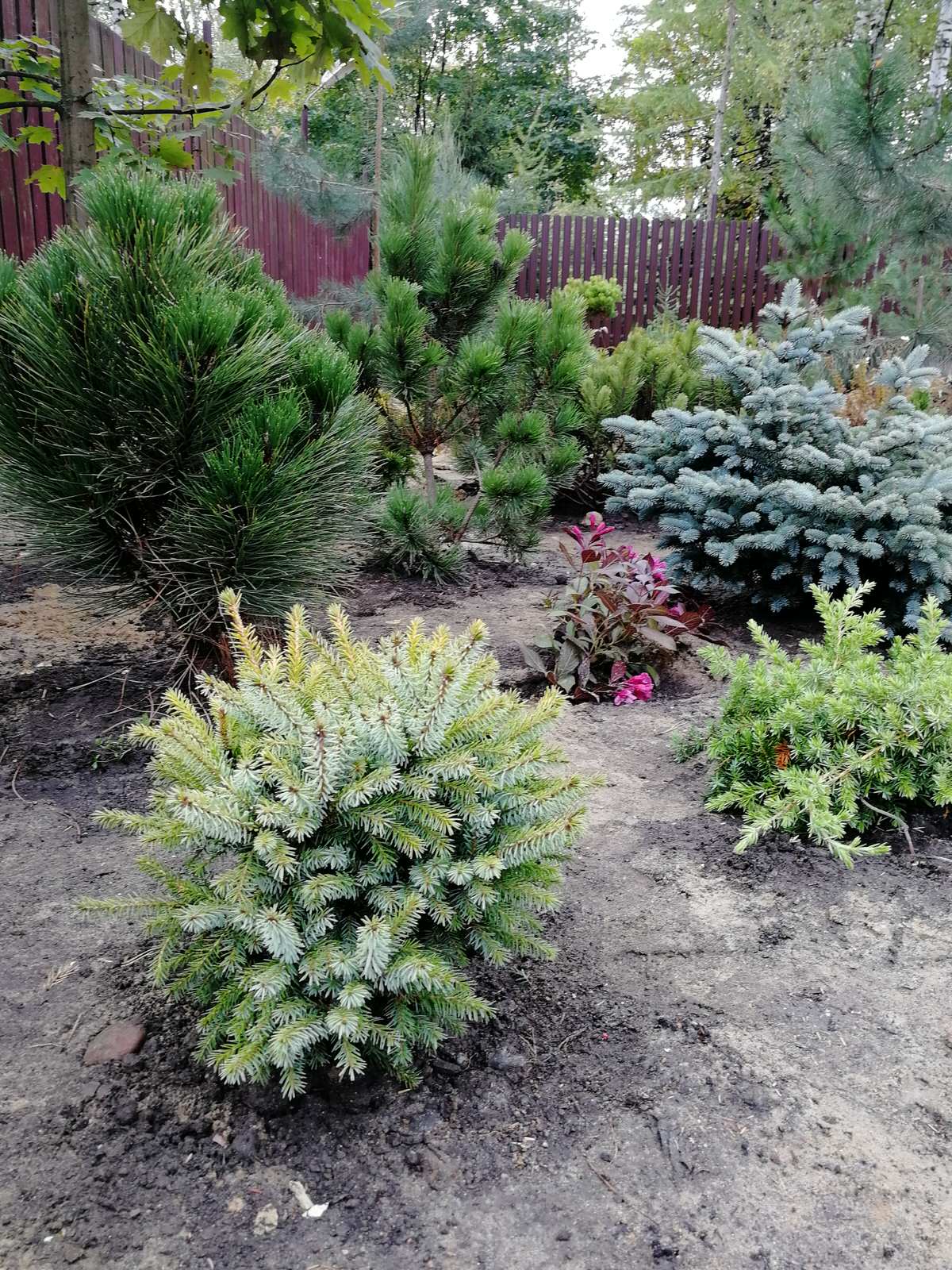 Реализация проект " Вечная любовь"