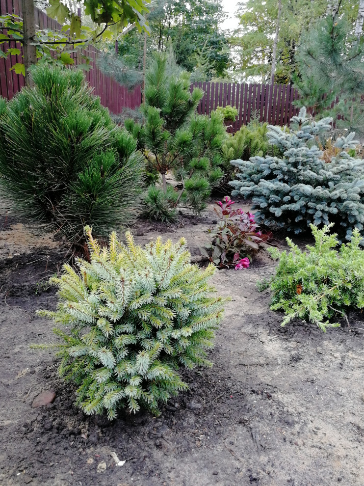 Реализация проект " Вечная любовь"