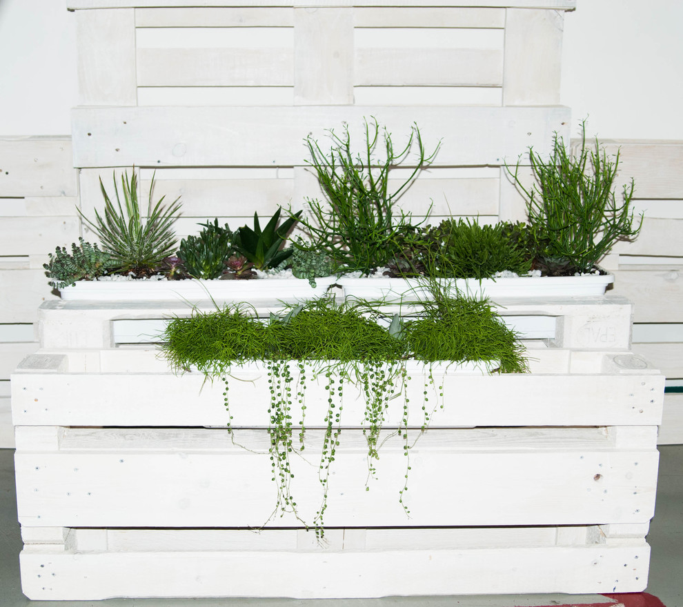 Обложка проекта: Суккуленты в декоре