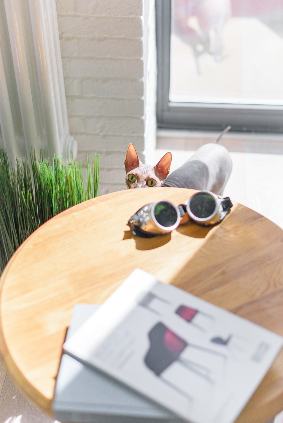 Квартира в ЖК Новая Звезда