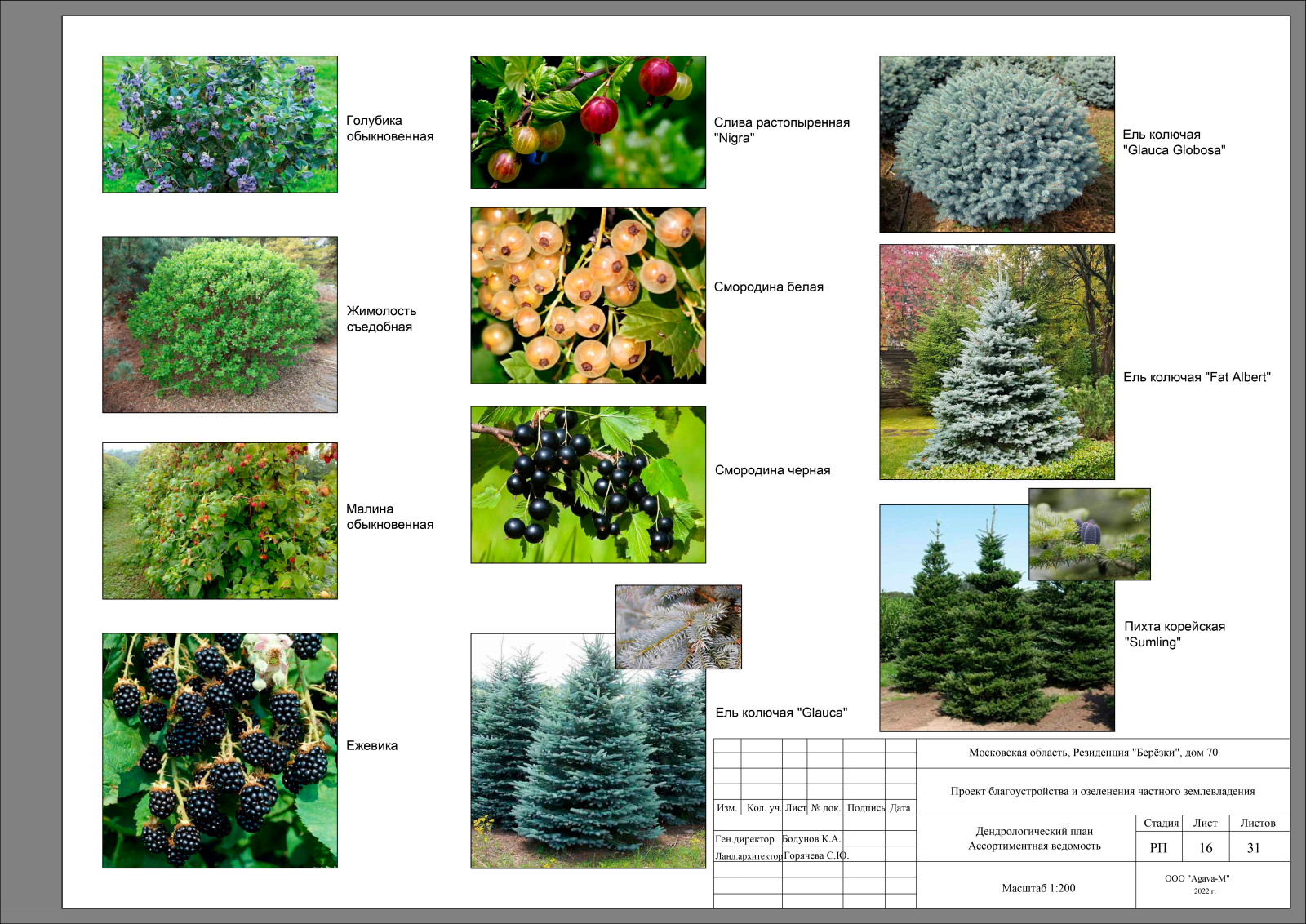 Обложка проекта: Резиденция Берёзки