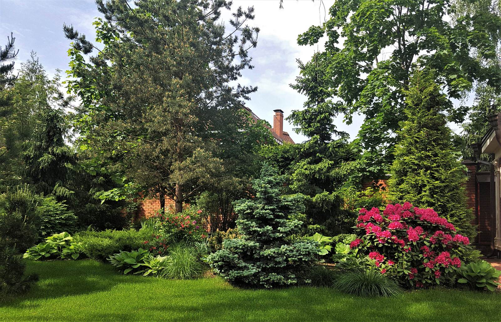 Сад с аурой