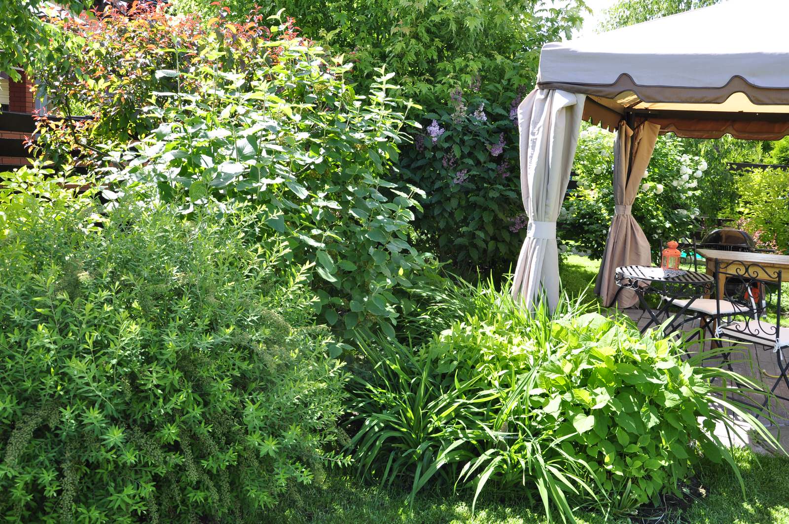 кп "Мелоди" - Уход за садом - 100% качество