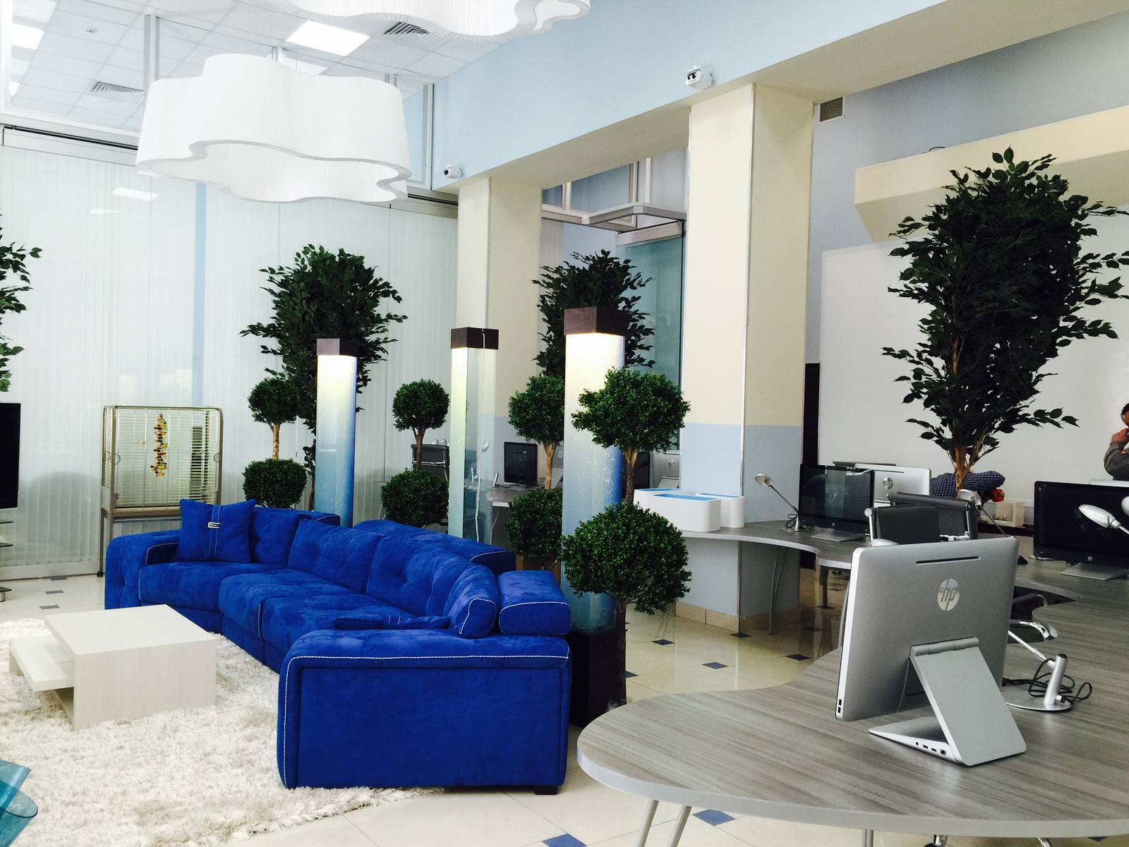 Обложка проекта: Офис с деревьями