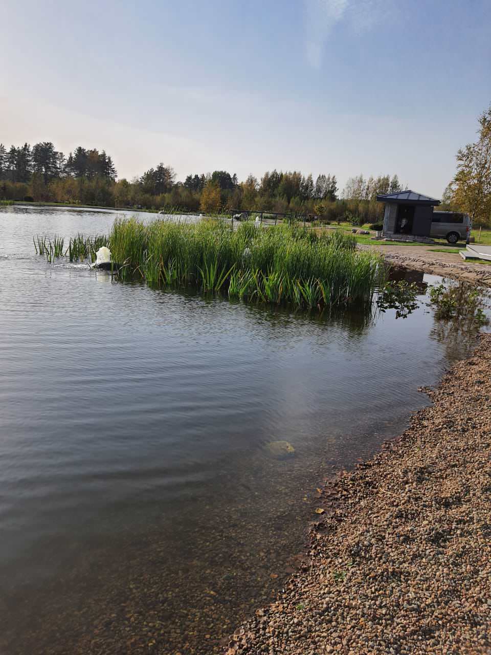 Декоративный водоём в п. Репино (Лен. обл.)