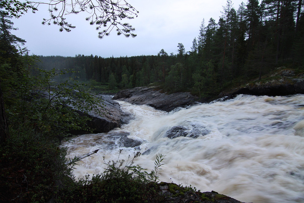 Производство и заготовка