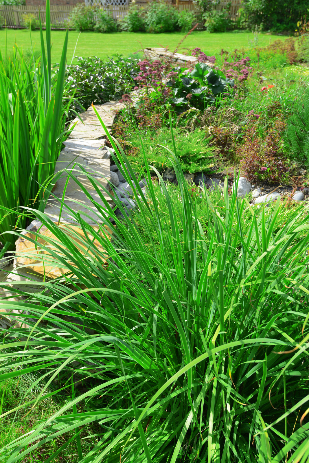 Живописный сад на 15-ти сотках