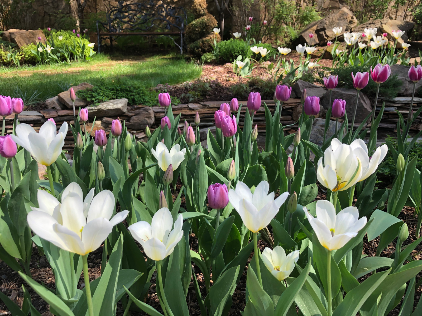 Просторный сад