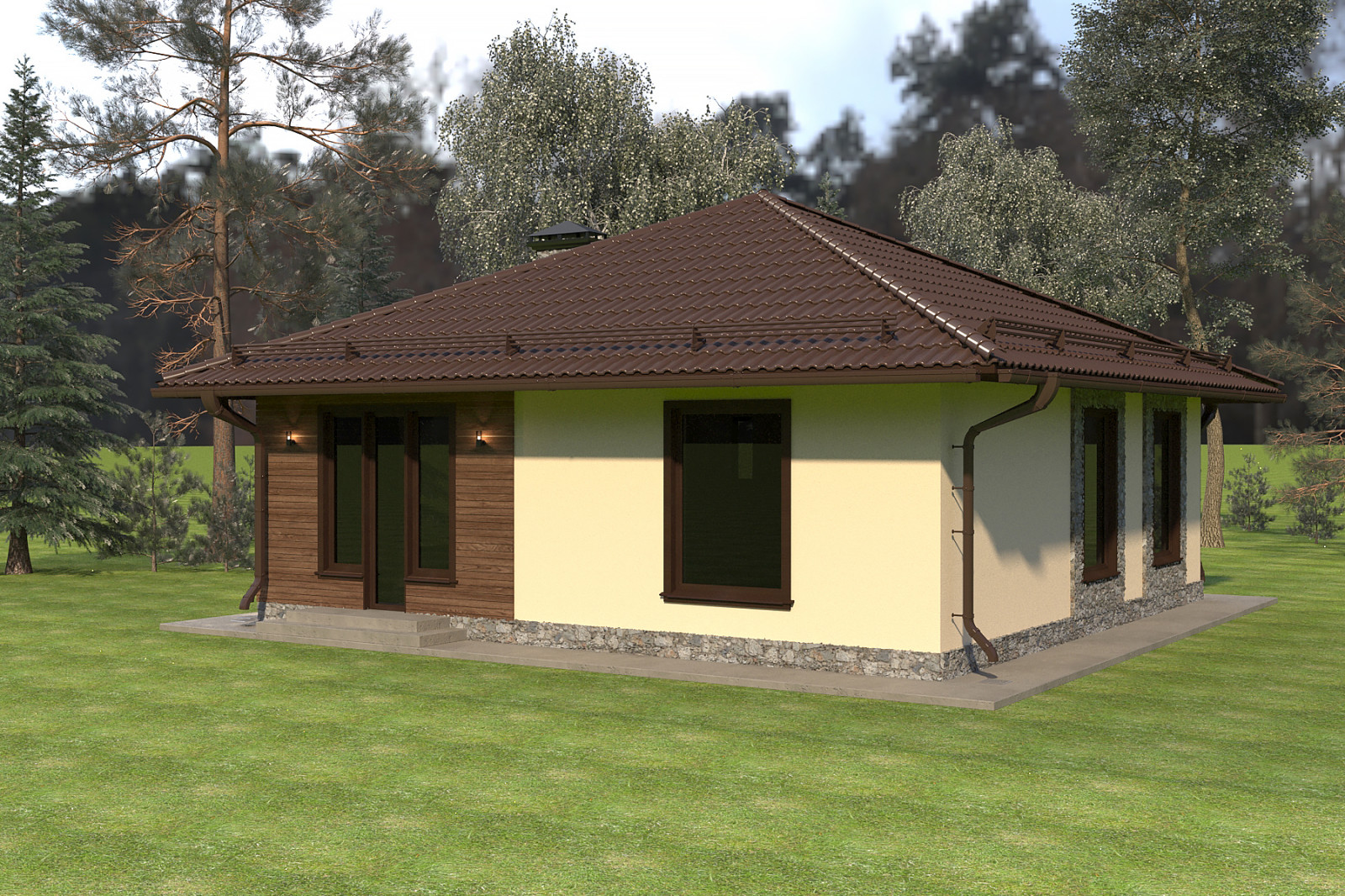 Частный дом 100 х 100