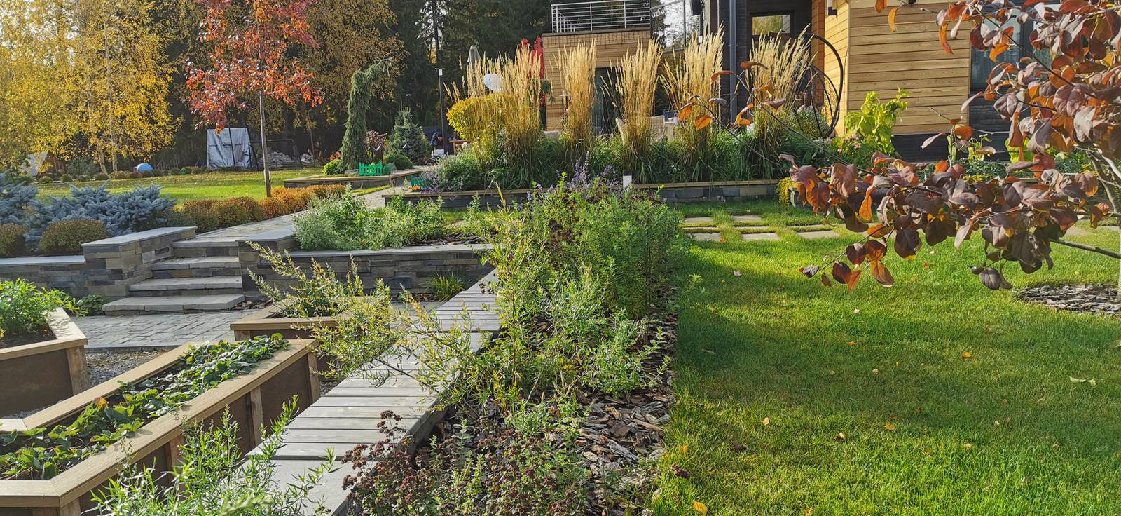 Благоустройство участка 20 соток в КП Пестово