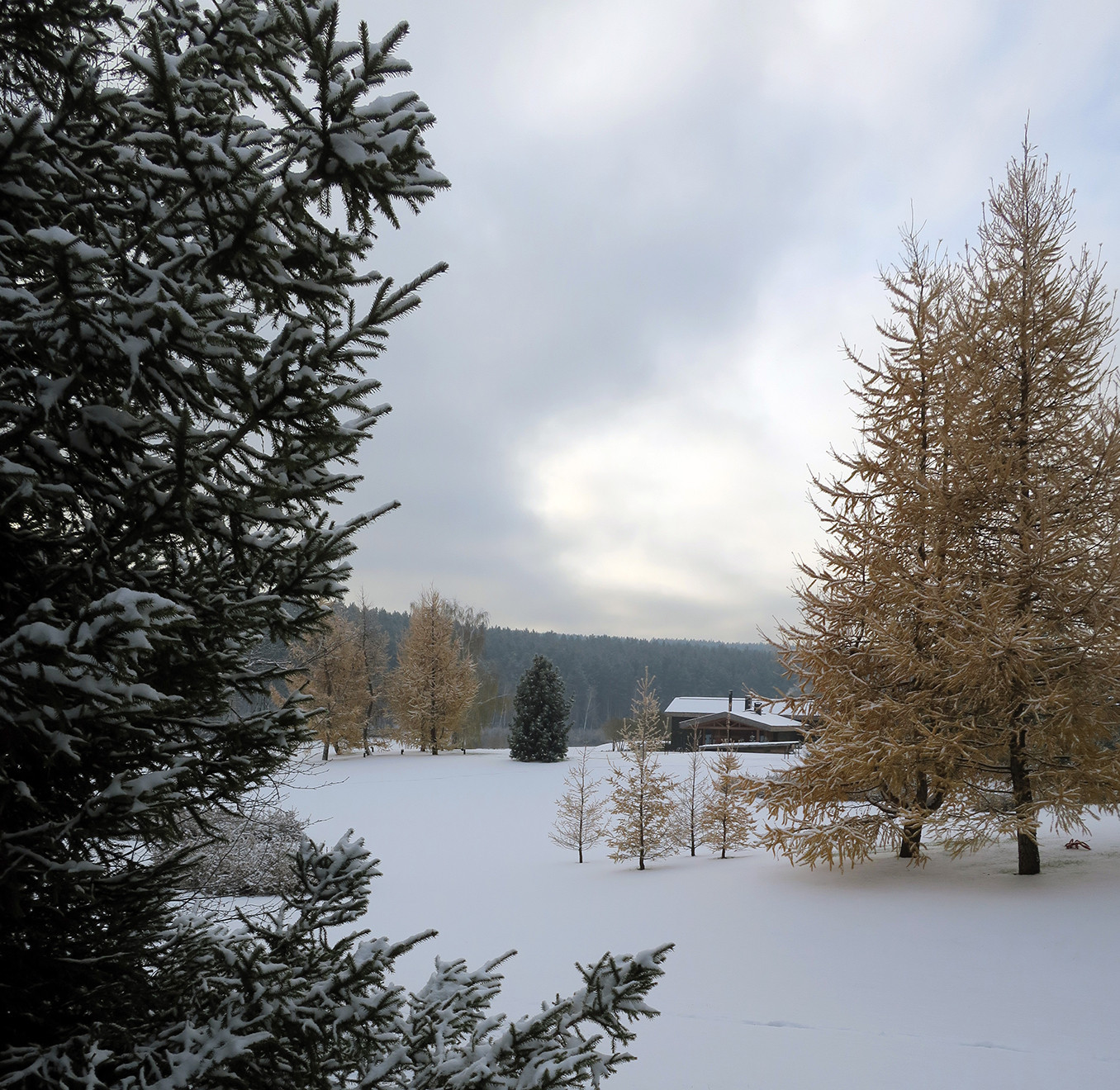 Новый пейзаж