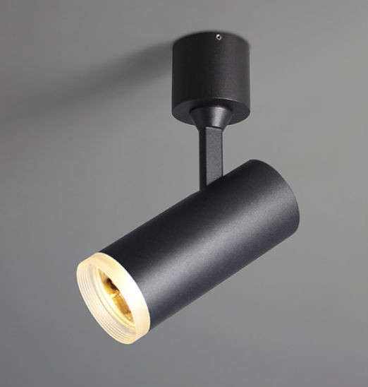 Накладные светильники REGIN