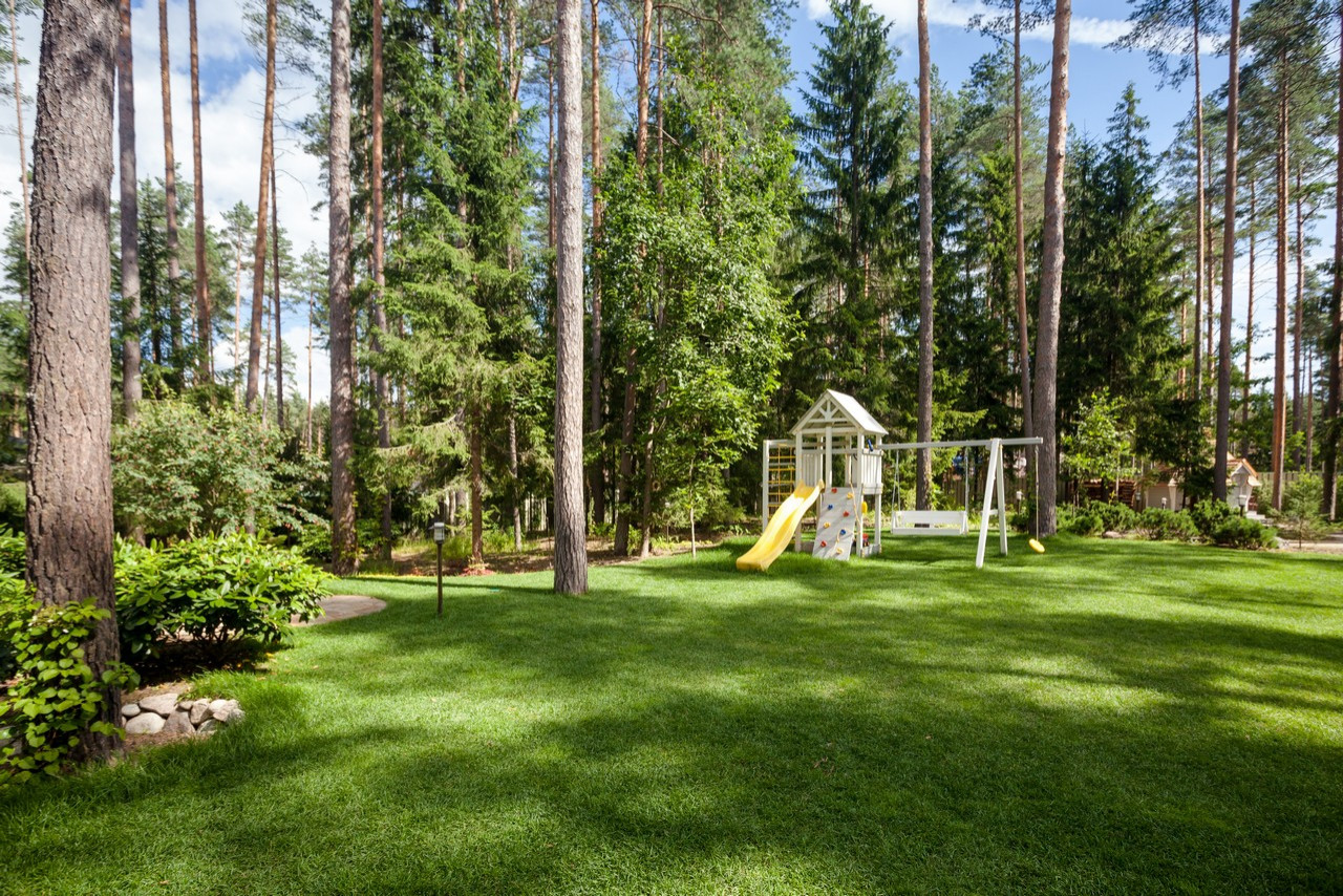 Ландшафтный дизайн