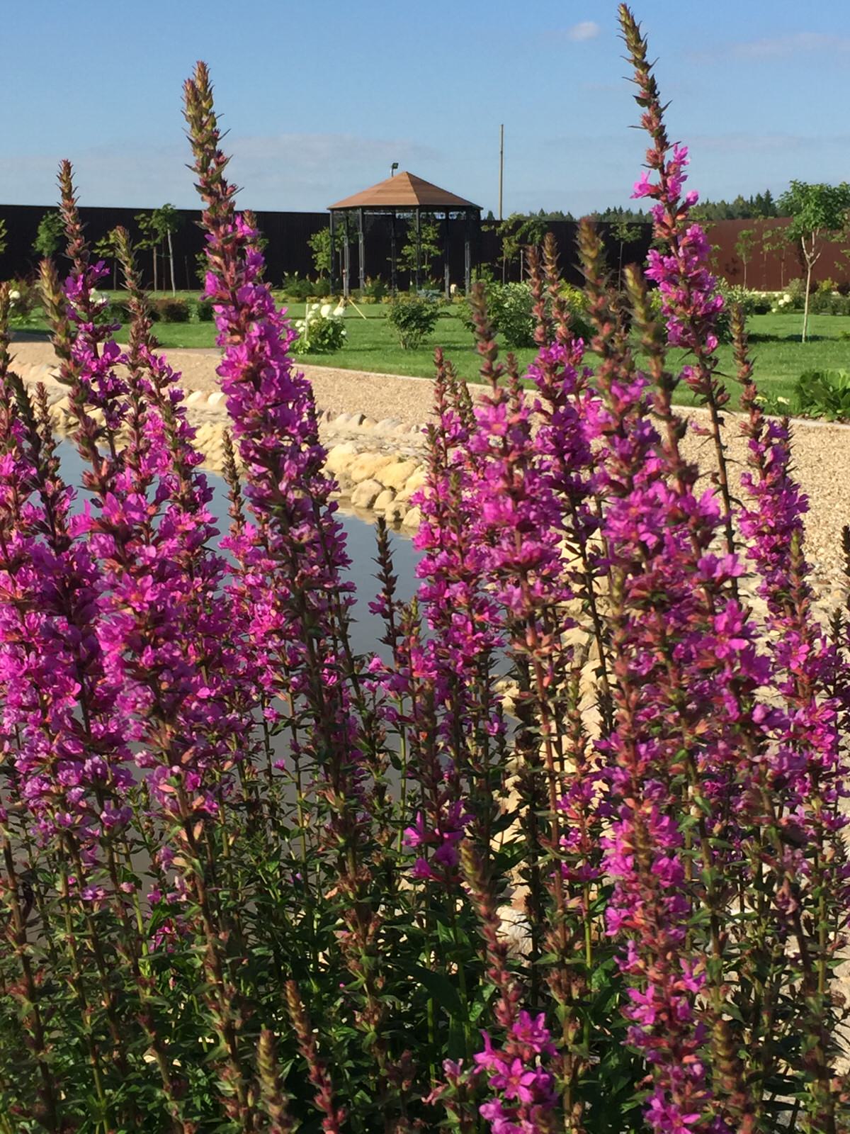 Обложка проекта: Сад «Русская усадьба»