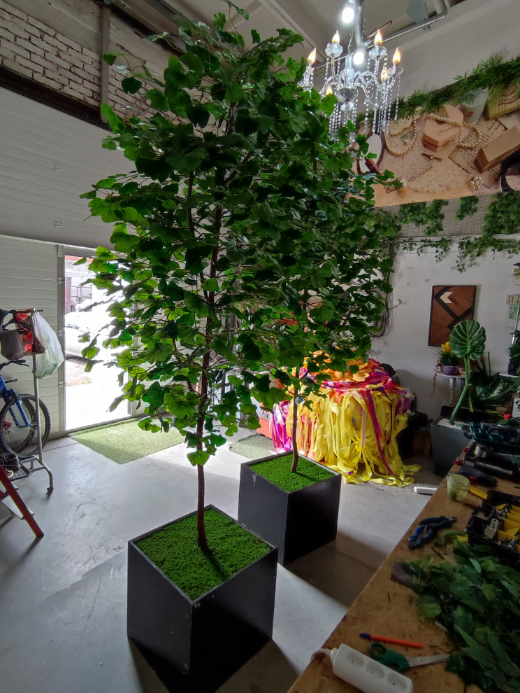 Обложка проекта: Дерево Гинко для LOGO