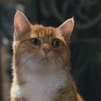 Ольга Андреева