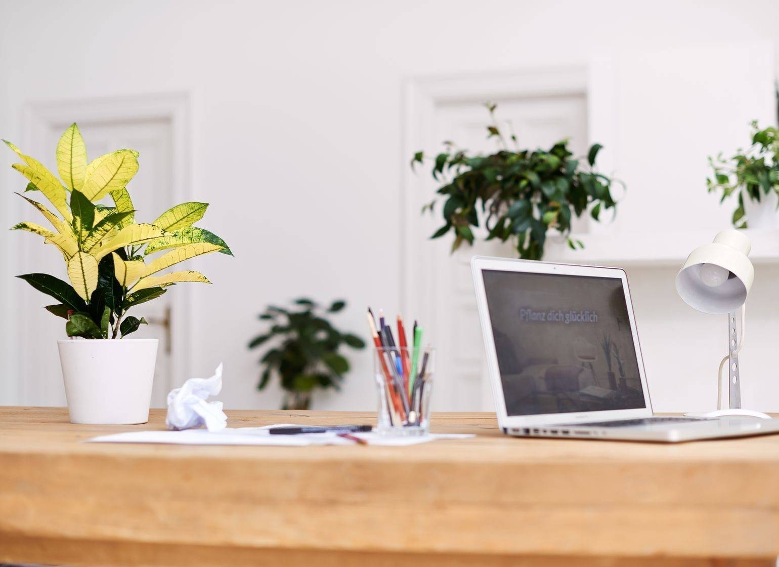 15 минут в день: Наводим порядок по таймеру