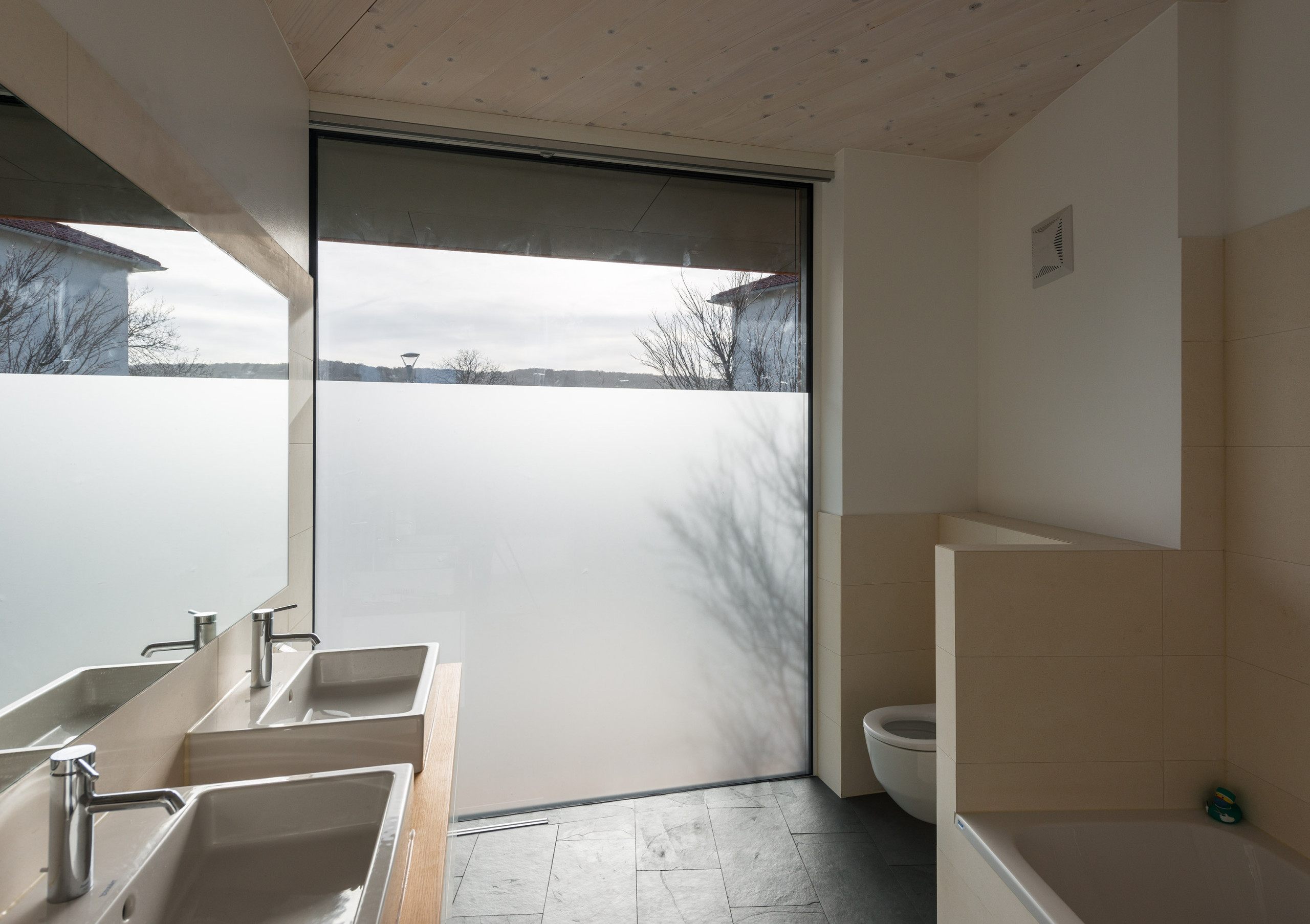 Houzz Австрия: Деревянный дом с «зеленой» крышей под Веной