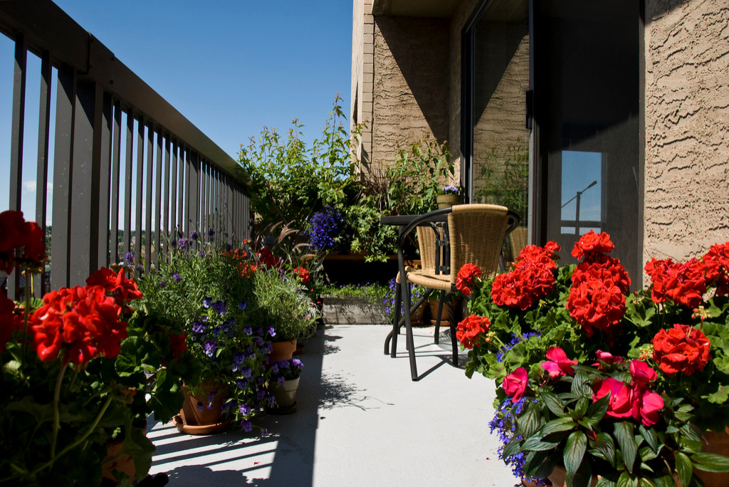 Подняться над суетой: 11 образов для балкона