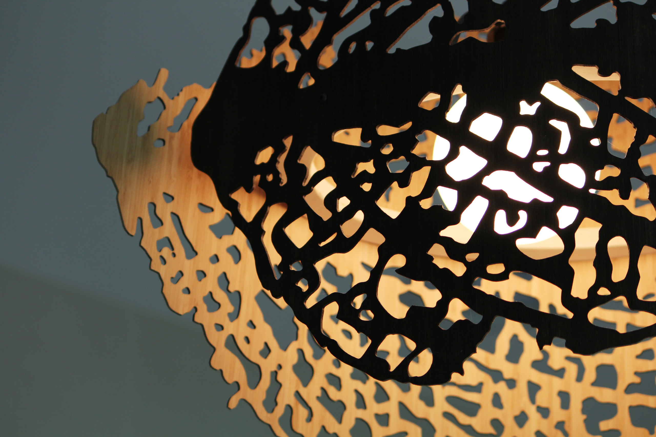 Домашний «театр теней»: Учимся работать с декоративным светом