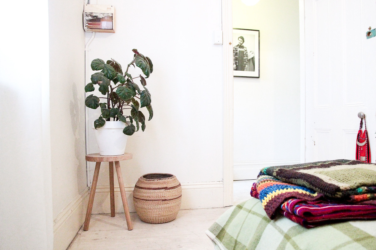 Счастливые комнатные растения — счастливые хозяева