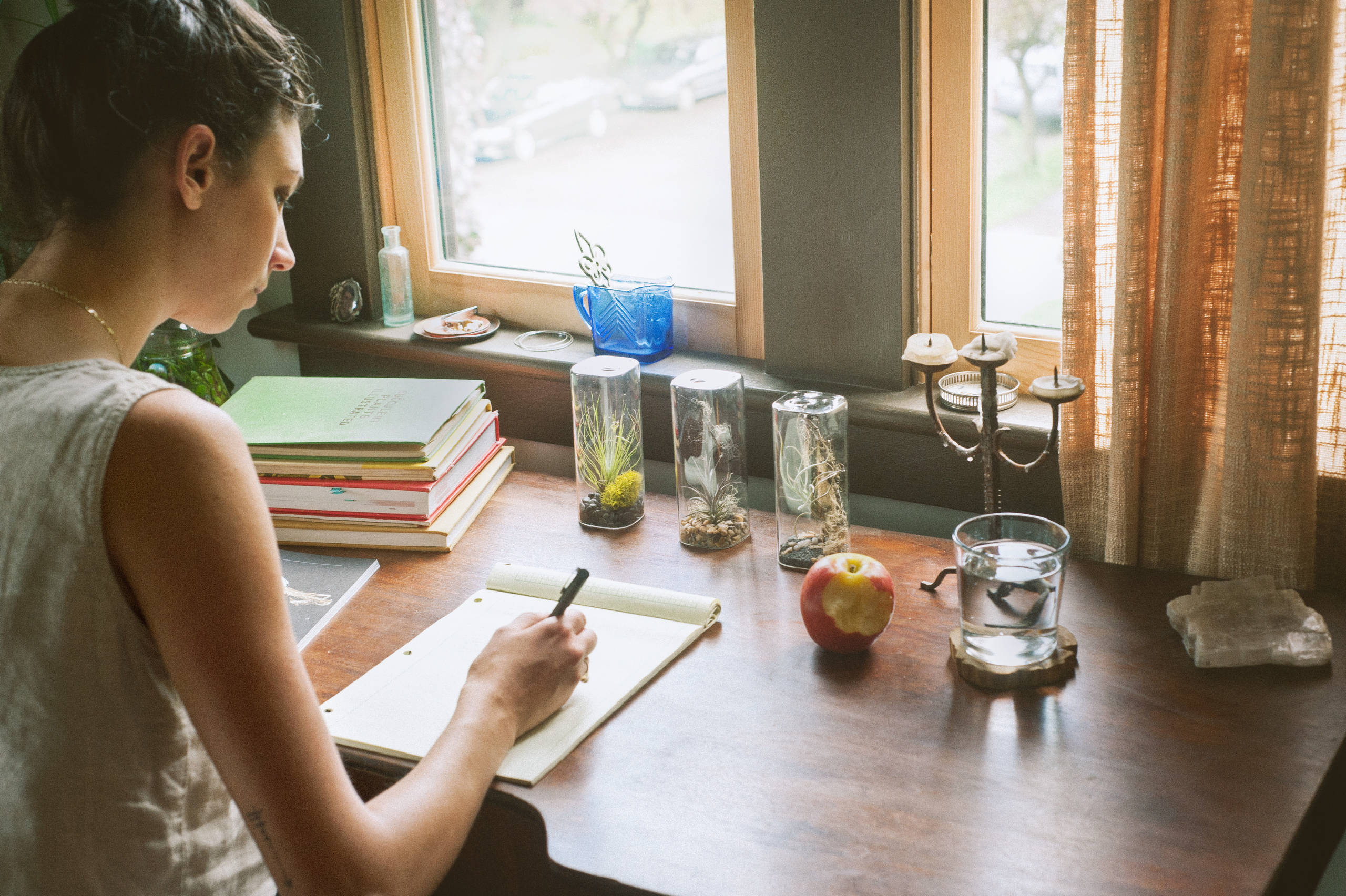 Дневник садовода: Зачем его вести и как