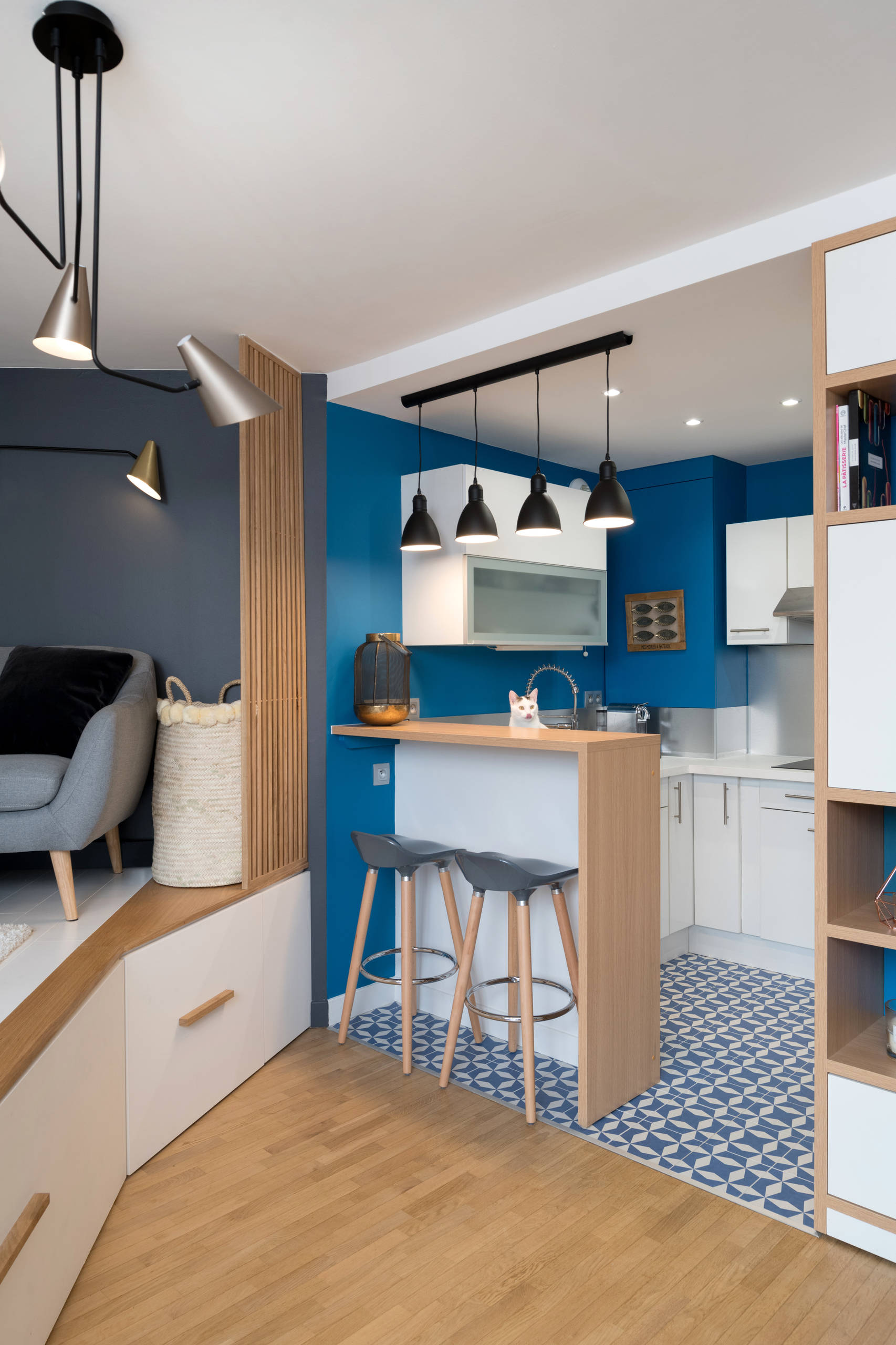 До и после: Французская студия 20 кв.м для девушки и кошки