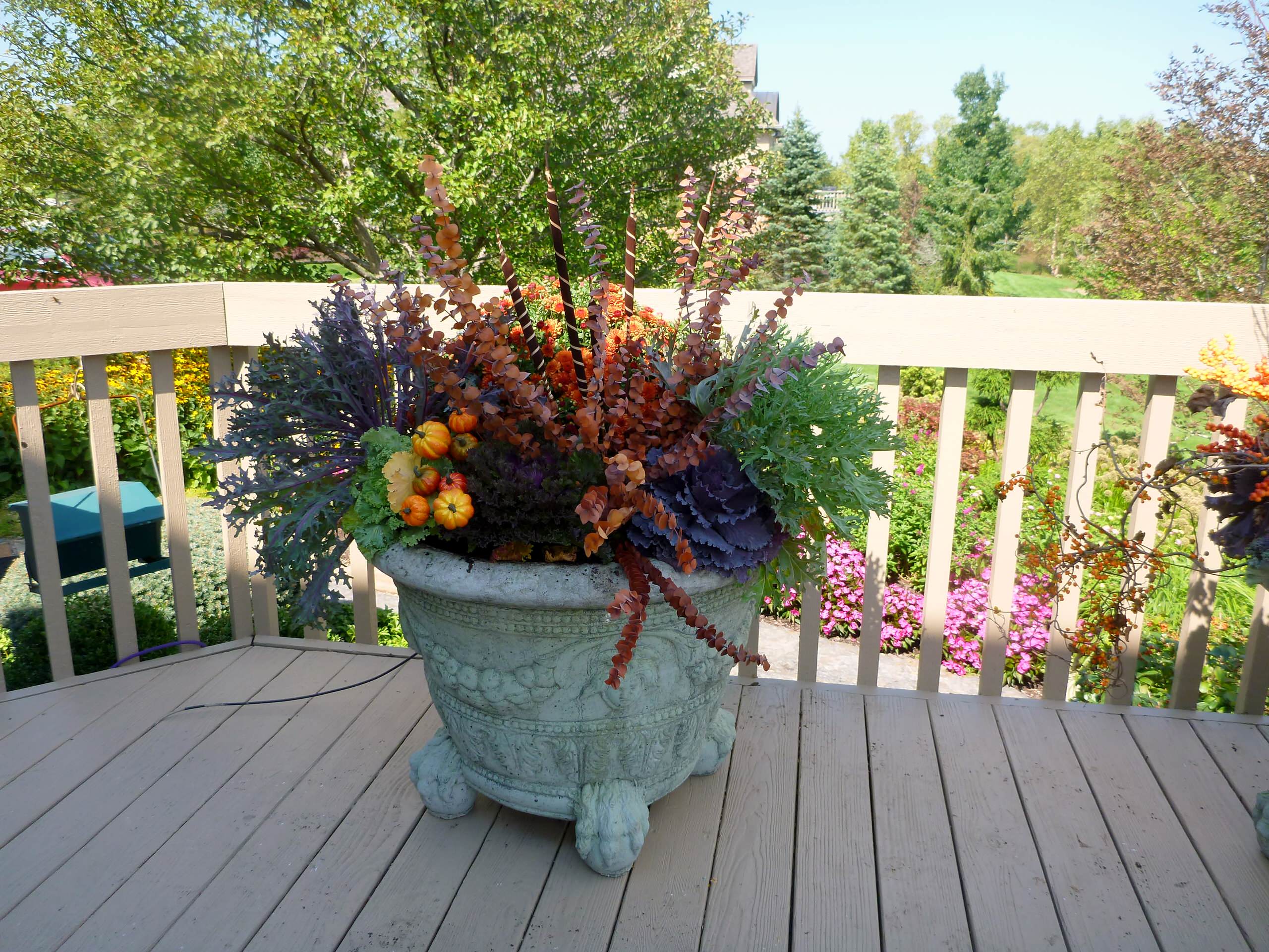 Фотоохота: 45 идей осенних кашпо