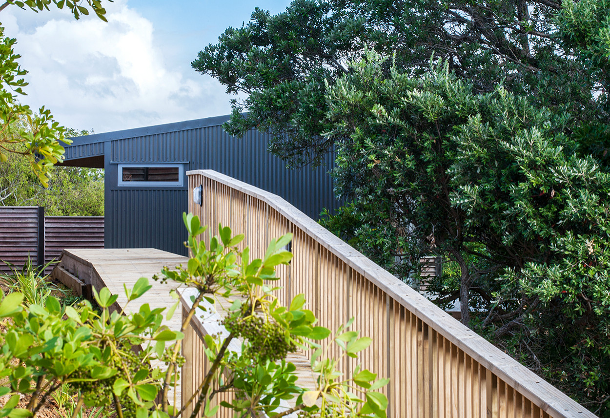 Houzz Новая Зеландия: Дом на скале под раскидистым деревом