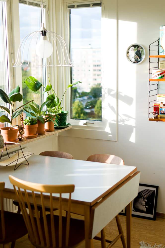 Их нравы: Декор окна на европейский манер — что важно знать?